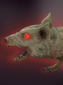 Mother-Rat.png