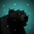 Spirit Bear.png