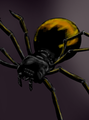 BlackWidowOrangeLarge.png