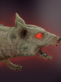 Giant-Rat.png