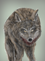 GrayWolf.png