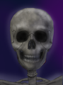 Skeleton-Knight.png
