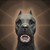 Hound.png