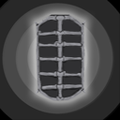Dragon-Spined-Shield-of-Ruthem.png