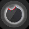 Shield-of-Vampire-Bat-Summoning.png