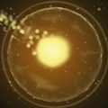 Thumbnail for version as of 07:17, 1 August 2022